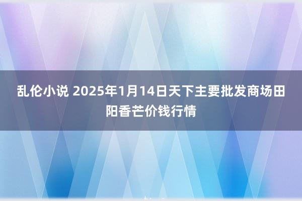 乱伦小说 2025年1月14日天下主要批发商场田阳香芒价钱行情