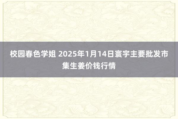 校园春色学姐 2025年1月14日寰宇主要批发市集生姜价钱行情