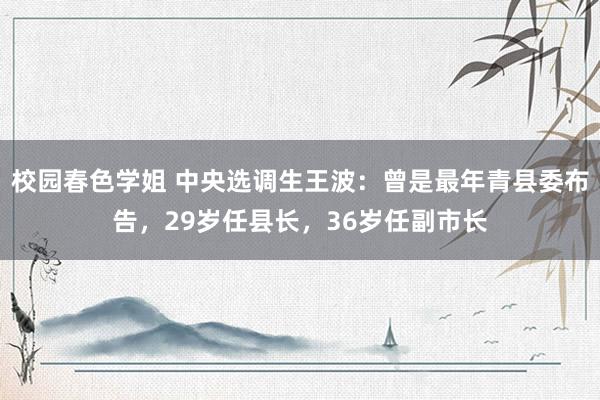 校园春色学姐 中央选调生王波：曾是最年青县委布告，29岁任县长，36岁任副市长